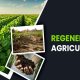 Regenerative Agriculture Restoring the Earth and Nurturing Sustainable Food Systems