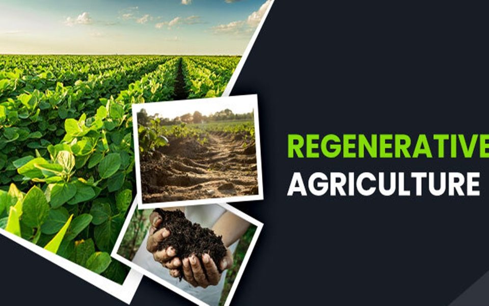 Regenerative Agriculture Restoring the Earth and Nurturing Sustainable Food Systems