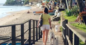 Where to go on vacation with your dog